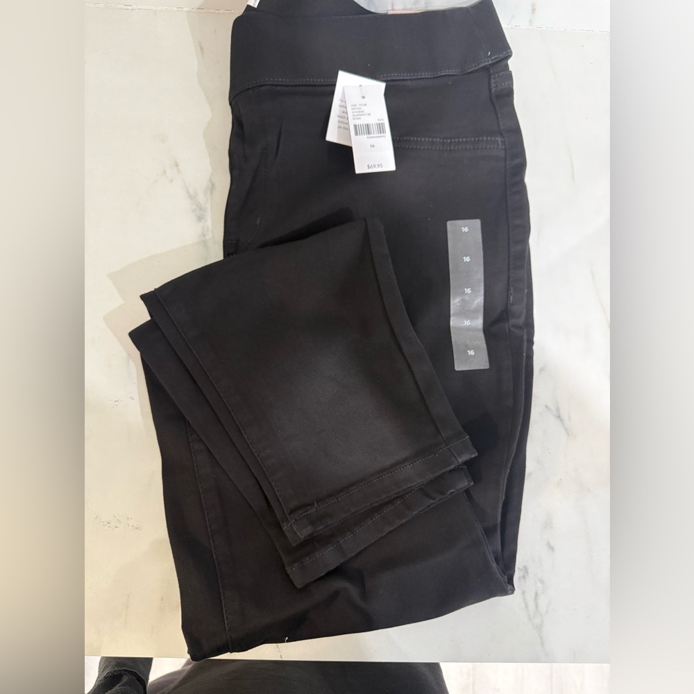 Lane Bryant Jegging